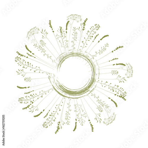 Meadow grasses, herbs and flowers silhouettes.