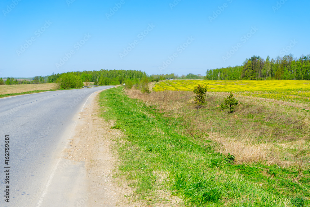 Fototapeta premium Vanishing straight highway with sunny blossoming rapeseed field along