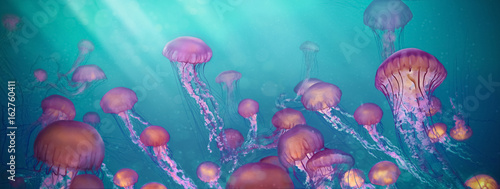 Obraz na plátne jellyfish, Cross process technique for background use