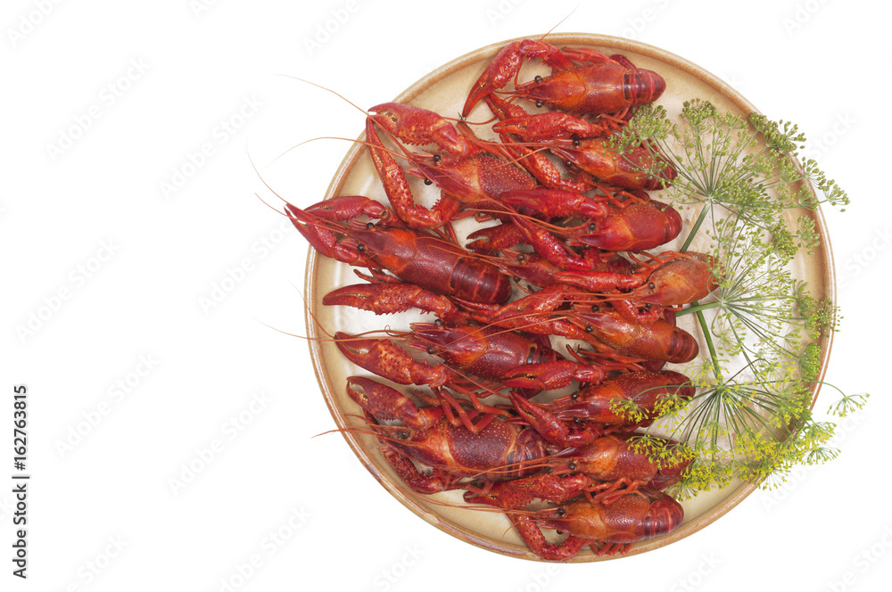 plate with boiled crayfish isolated on white plate with boiled crayfish isolated on white