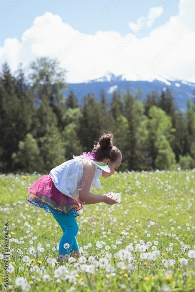 Fototapeta premium Cute girl collecting fresh flowers from field