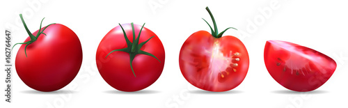 Tomatoes.Realistic vector illustration 