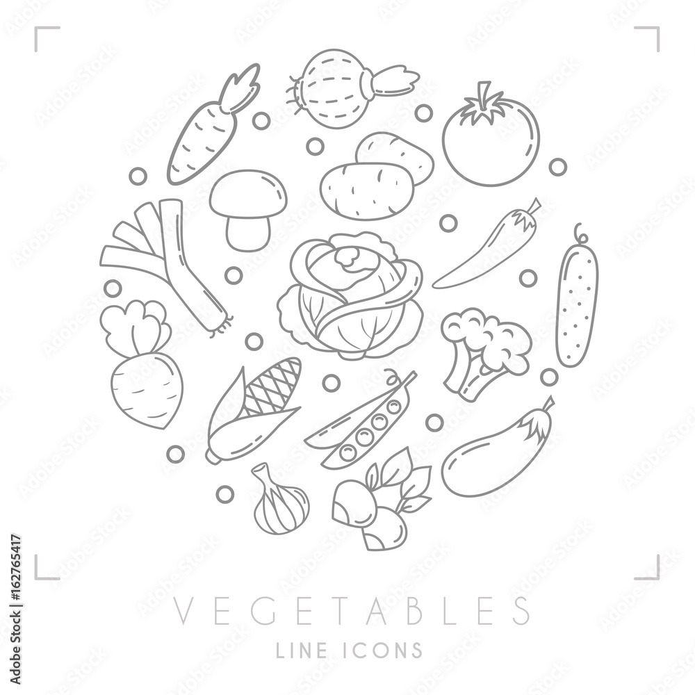 Set of line vegetable icons. Carrot, tomato, leek, cabbage, onion, mushroom, eggplant, cucumber, pepper, broccoli, potato, corn, radish, beet root, peas, garlic. Set of line vegetable icons. Carrot, tomato, leek, cabbage, onion, mushroom, eggplant, cucumber, pepper, broccoli, potato, corn, radish, beet root, peas, garlic.