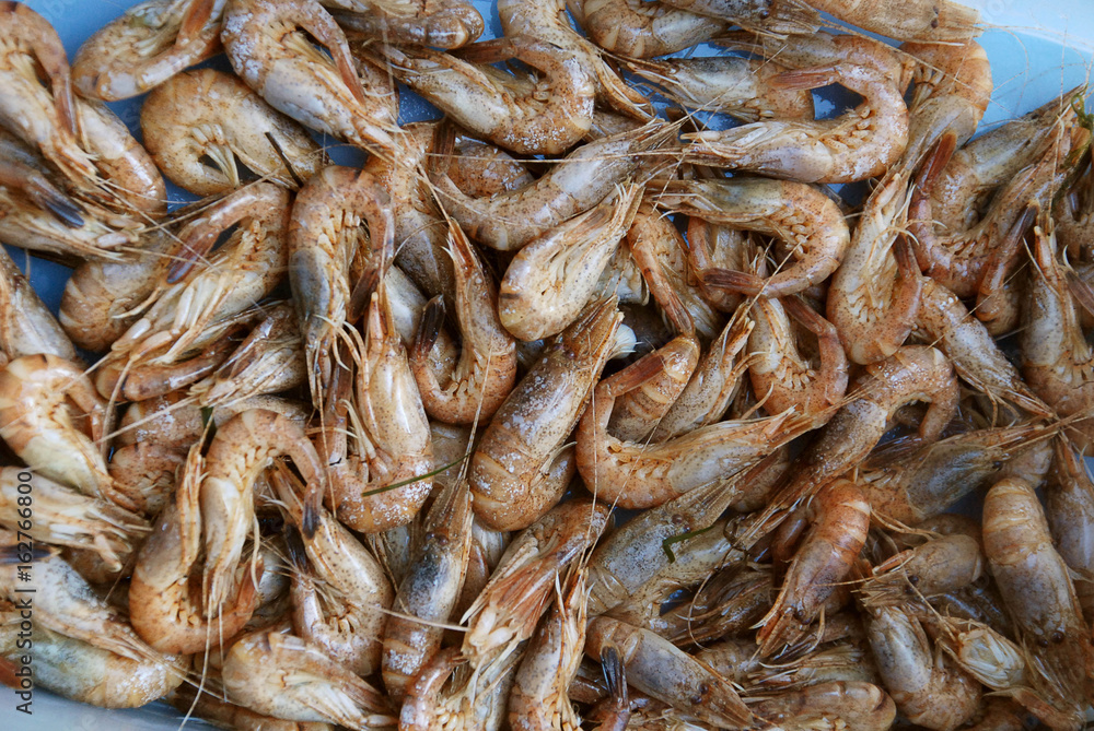 Background of Fresh shrimp