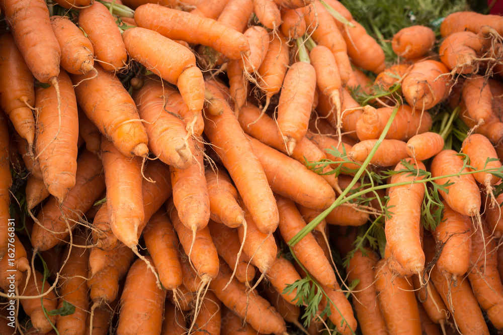 Fresh Organic Carrots