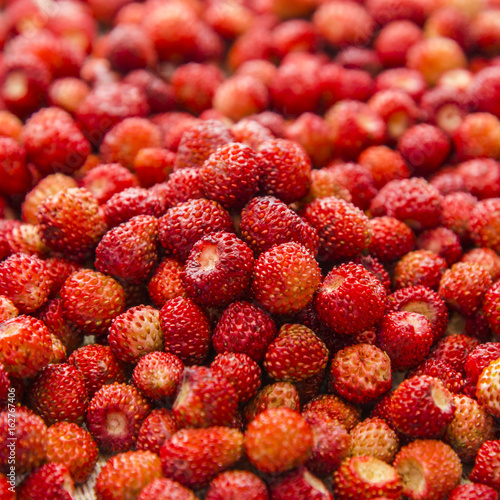 Heap of a fresh strawberry