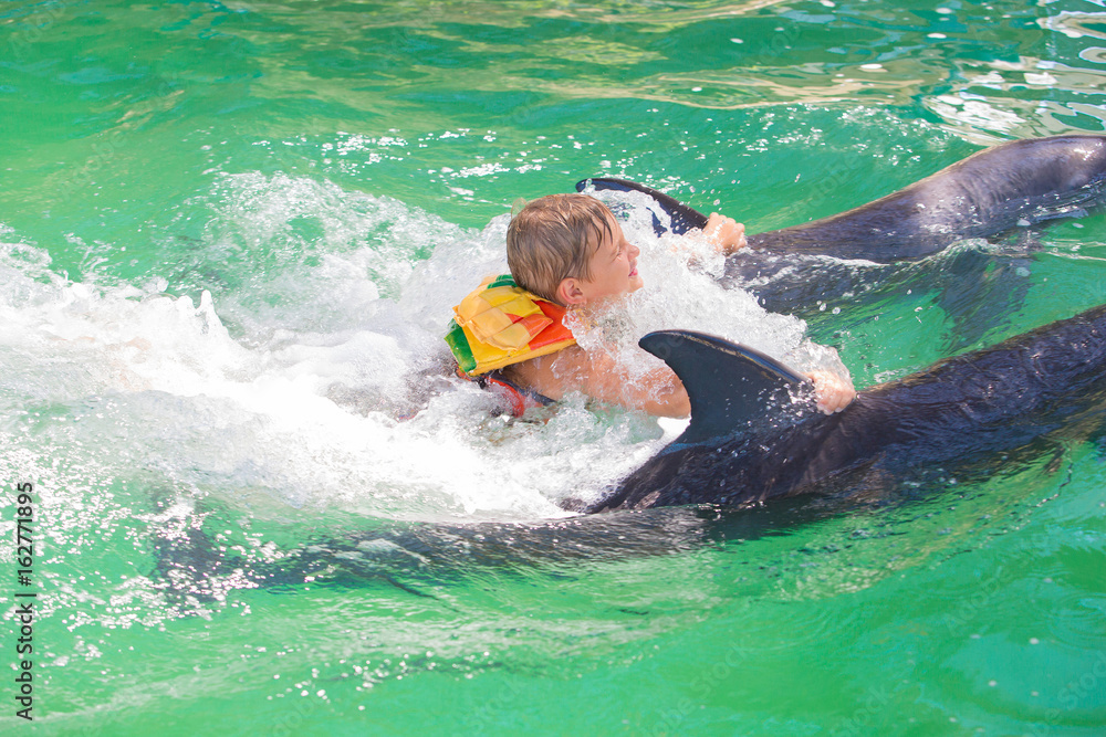A boy, a baby, a model bathes with dolphins. Man, a mammal, a dolphin.