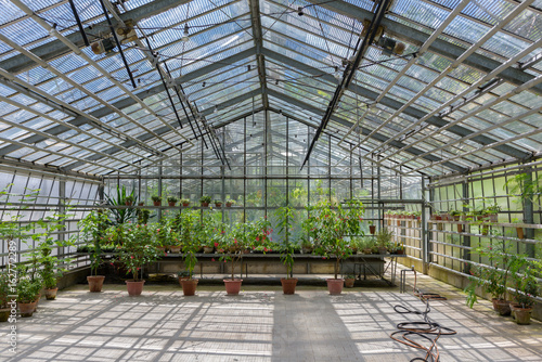 greenhouse