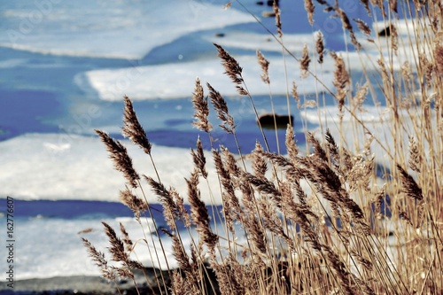Wallpaper Mural ice Torontodigital.ca