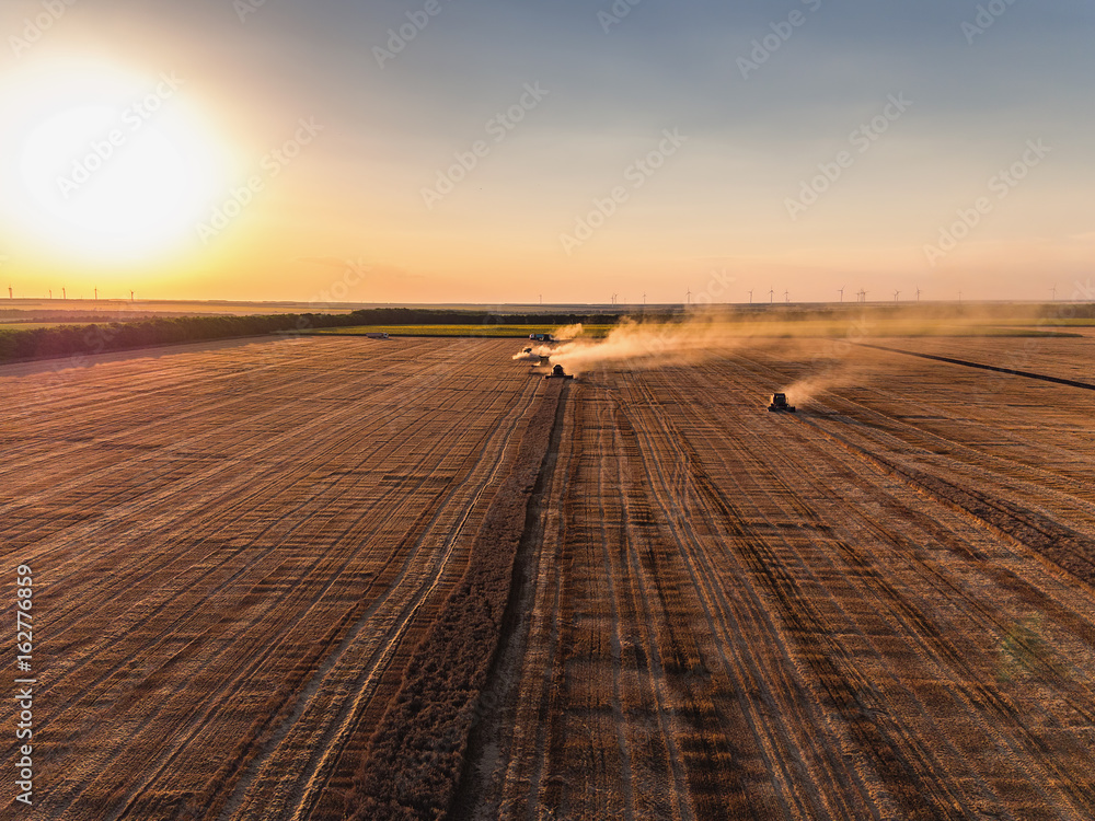 Fototapeta premium Aerial view of Combine harvester agriculture machine harvesting golden ripe wheat field