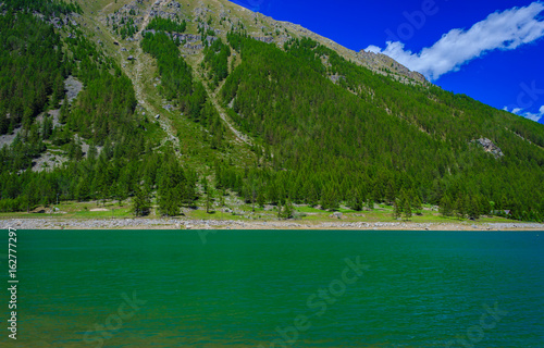 a suggestive green mountain lake along a slope covered with pine trees in the National Park of Great Paradise,in Piedmont,Italy /the green color of the pines on the mountains reflects on the lake