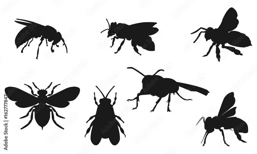 Bee vector silhouette Bee vector silhouette
