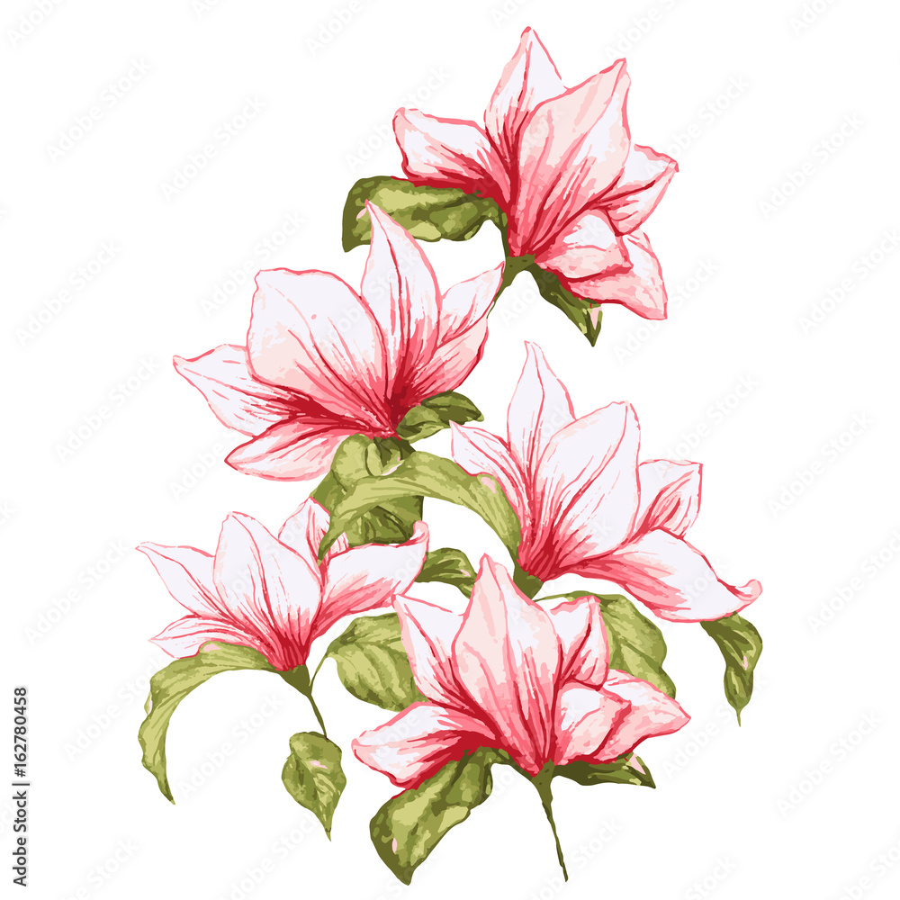 Fototapeta premium Magnolia flower bouqet in blossom, beautiful home decor and interior design, vector illustration isolated on white background