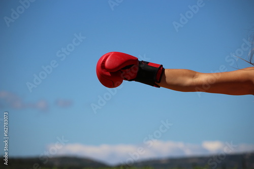 gant de boxe © canecorso