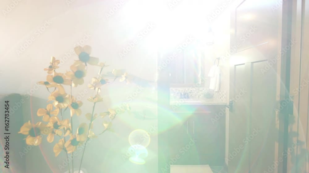 Master Bedroom Bathroom Door Open with Sun Flare Lower. shot lowers on corner of master bedroom corner with bathroom door open and flower in foreground as sun flare shines through
Master Bedroom Bathroom Door Open with Sun Flare Lower. shot lowers on corner of master bedroom corner with bathroom door open and flower in foreground as sun flare shines through