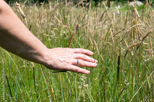 Woman's hand touching the grass, 'feeling nature'