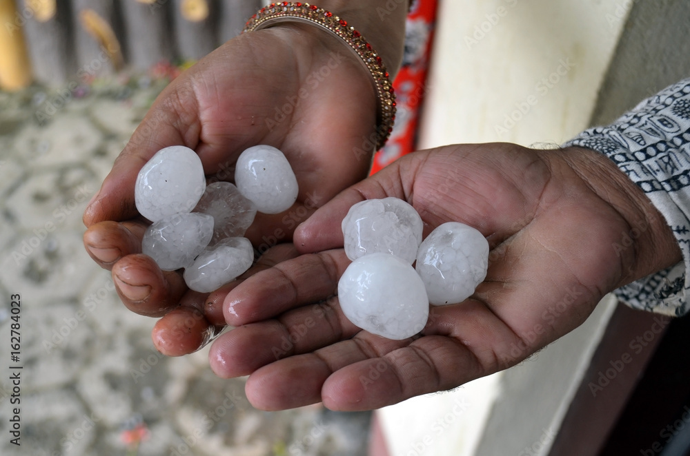 Giant hailstones in hands of two humans. Chitwan national park, Giant hailstones in hands of two humans. Chitwan national park,