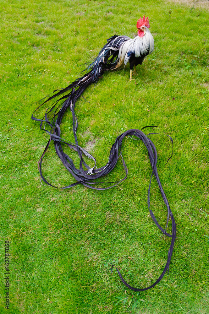 1000_F_162787858_o1JNfPl24V090