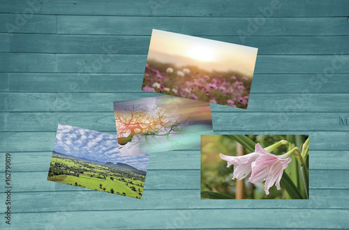 Photo on wooden wall