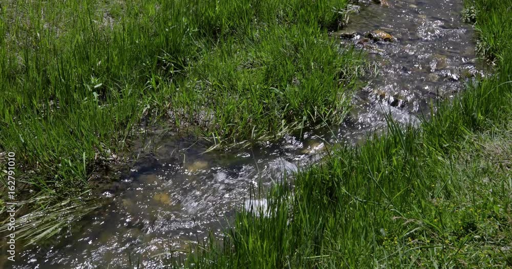 Creek running over rocks and through grass 4k 24fps Creek running over rocks and through grass 4k 24fps