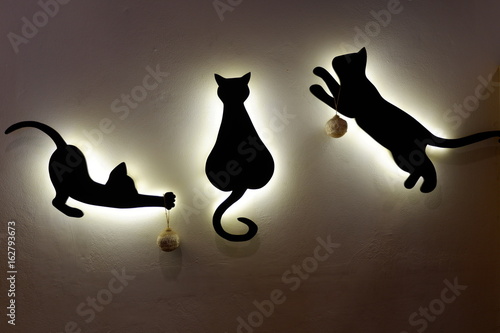 3 shadow cats