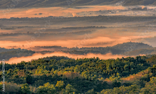 Foggy Morning