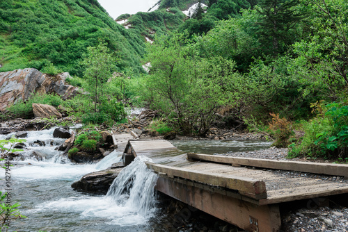 Fallen Bridge on forest trail