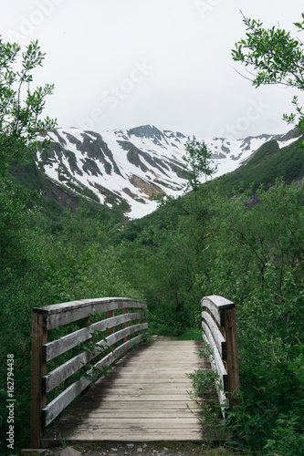 Bridge into the Mountains