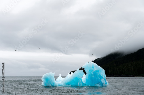 Holkham Bay Iceberg photo