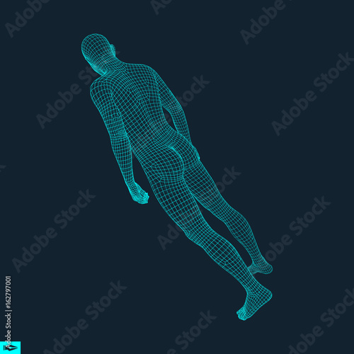 3D Model of Man. Polygonal Design. Geometric Design. Business, Science and Technology Vector Illustration. 3d Polygonal Covering Skin. Human Polygon Body. Human Body Wire Model.