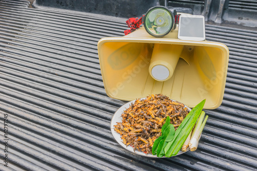 Materials equipment for the trapped insect, mole cricket, on the pickup floor such as the speaker, amplifier, smartphone,flashlight, with natural light, shadow,and lens flare effect tone photo