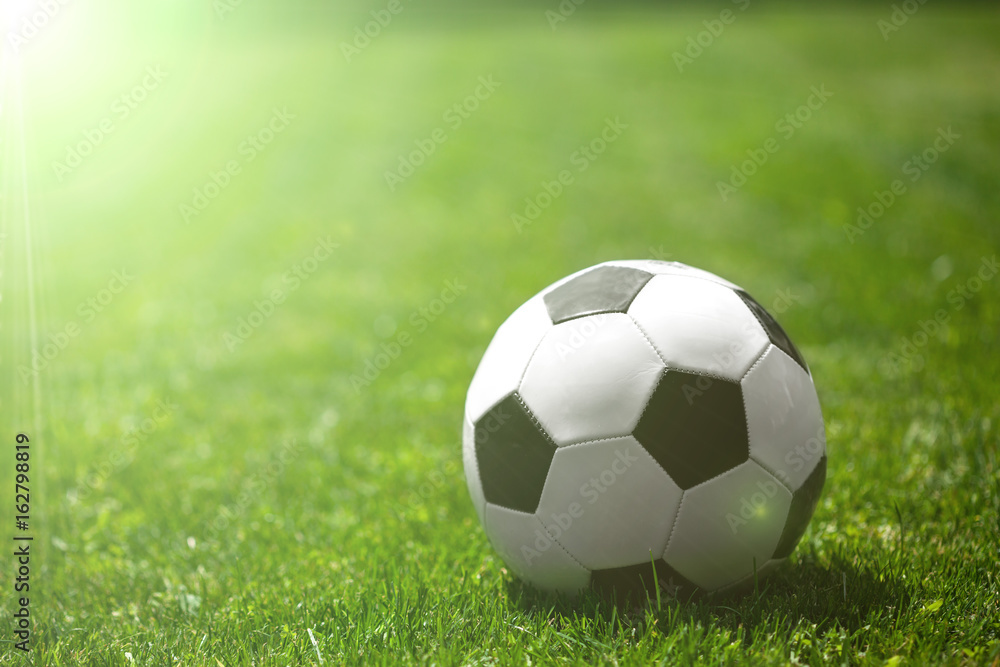 Fototapeta premium Soccer ball on the grass