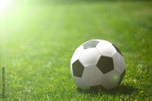 Soccer ball on the grass © vovan