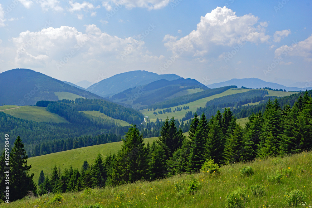 Fototapeta premium SOMMERALM mit Blick Richtung TEICHALM ( Oststeiermark )