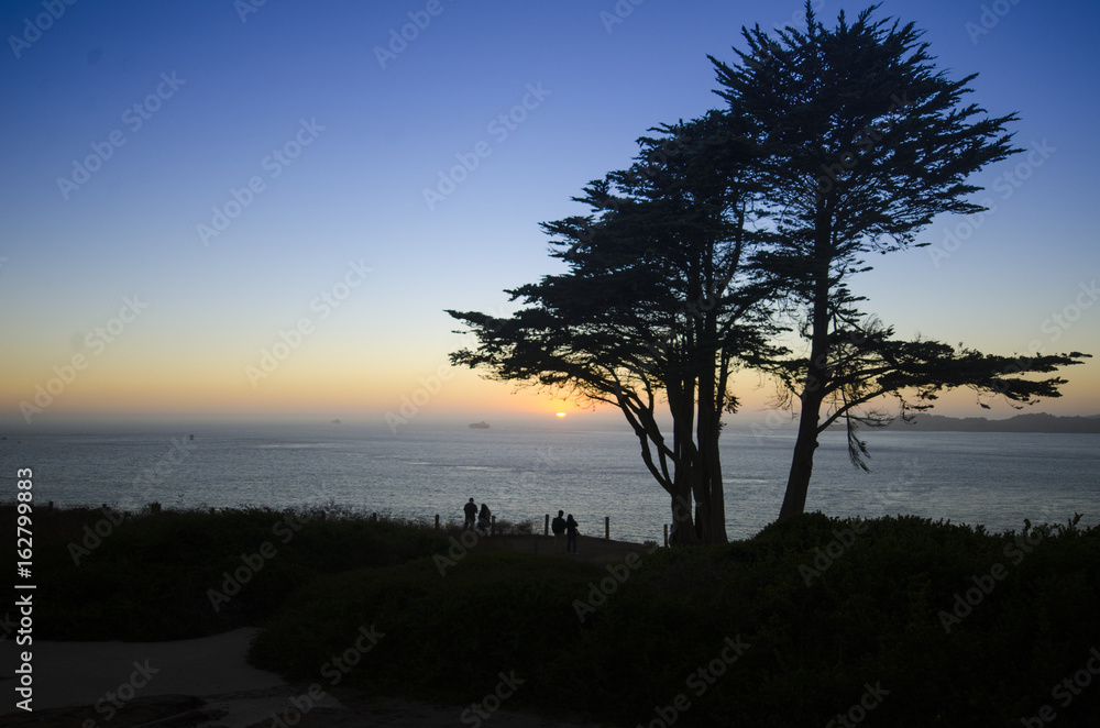 Sun set tree Silhouette