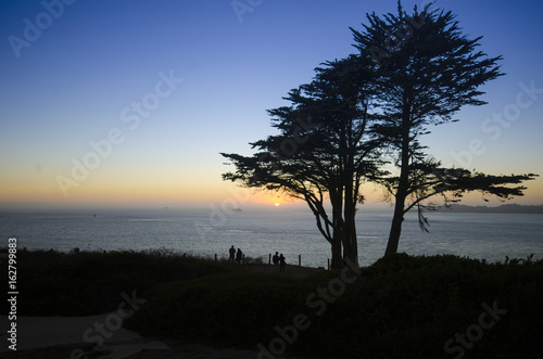 Sun set tree Silhouette