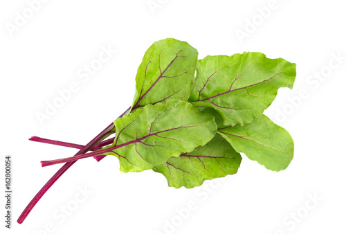 Slika na platnu Beet leaves. Beetroot leaves, fresh beet leaf.