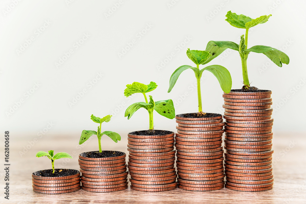 Growing plant on coin money for finance and banking concept, Financial and business concept, business investment.. Growing plant on coin money for finance and banking concept, Financial and business concept, business investment..