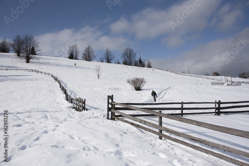 Long wooden fence and trees in winter in Carpathian, Ukraine