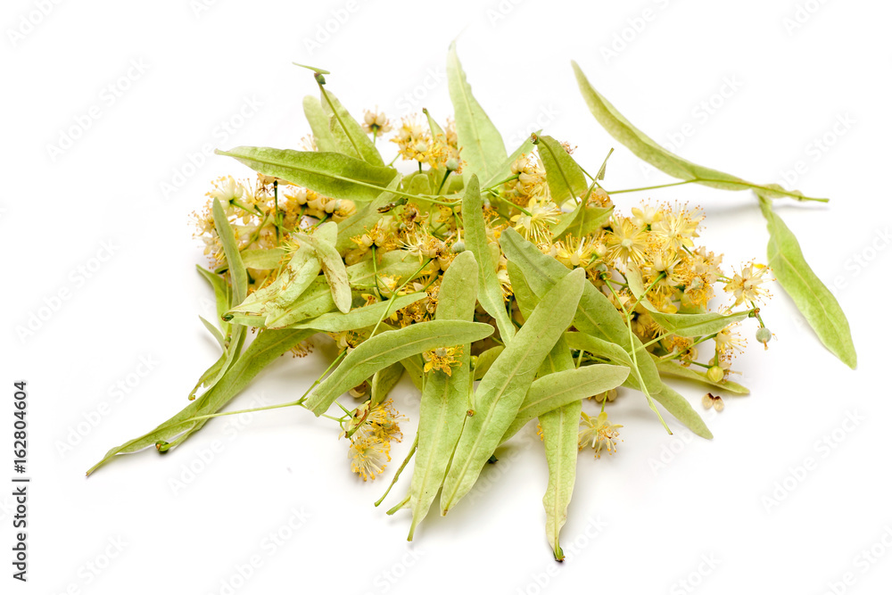 Lime flower Lime flower