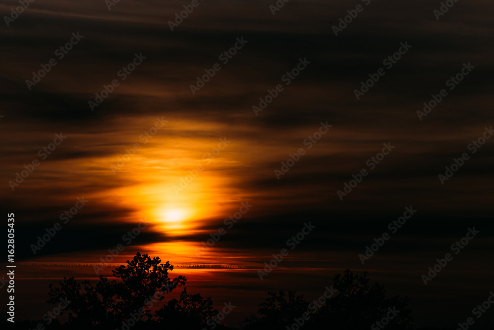 African sunset in orange sky and tree silhouette