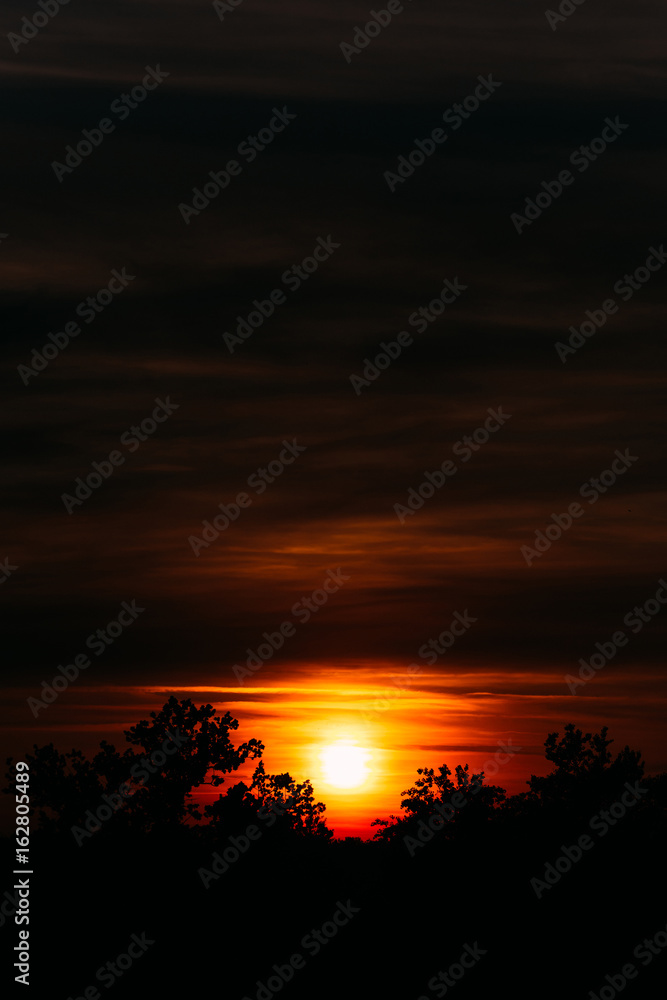 African sunset in orange sky and sun laying down between trees s