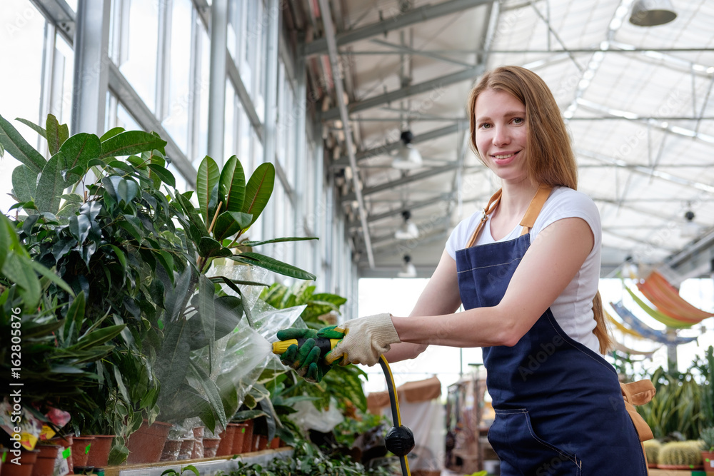 Obraz premium redhead young woman worker in plant market greenhouse pouring plants and smiling