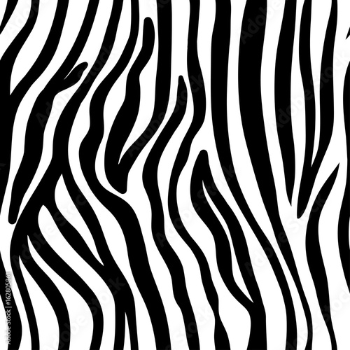 vector seamless black and white pattern of zebra