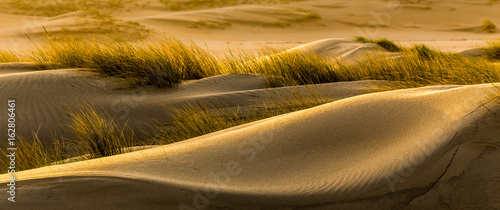 morning dunes