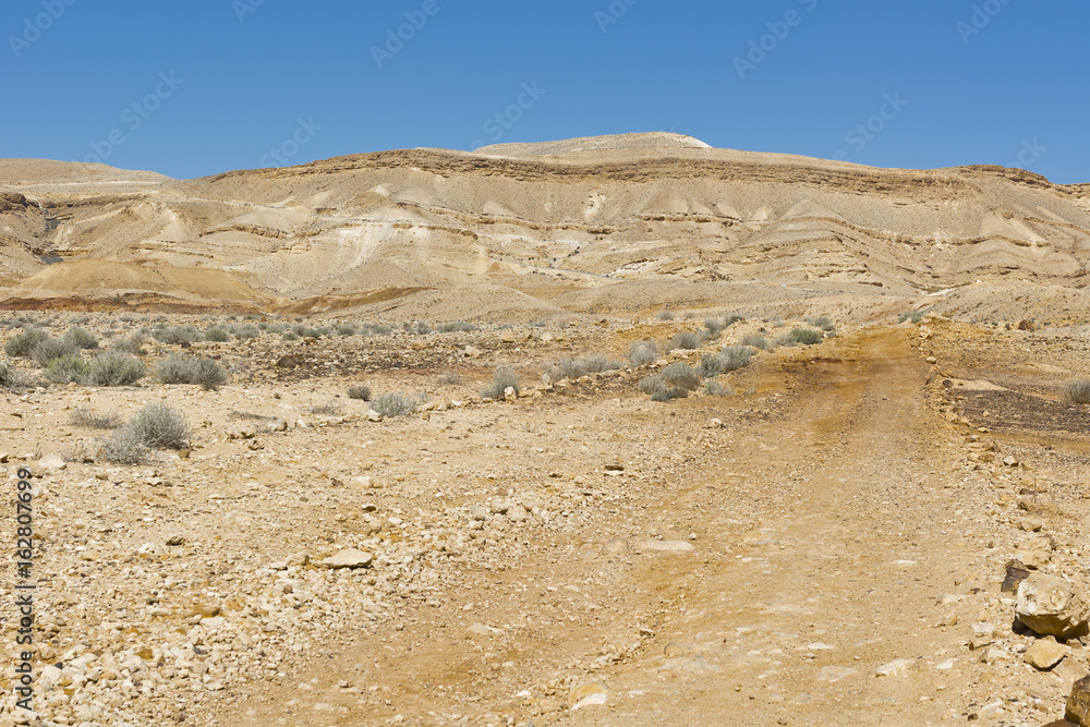Landscape of the desert in Israel