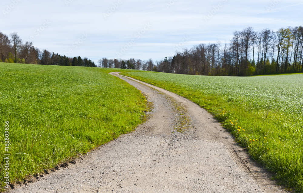 Dirt road between pastures