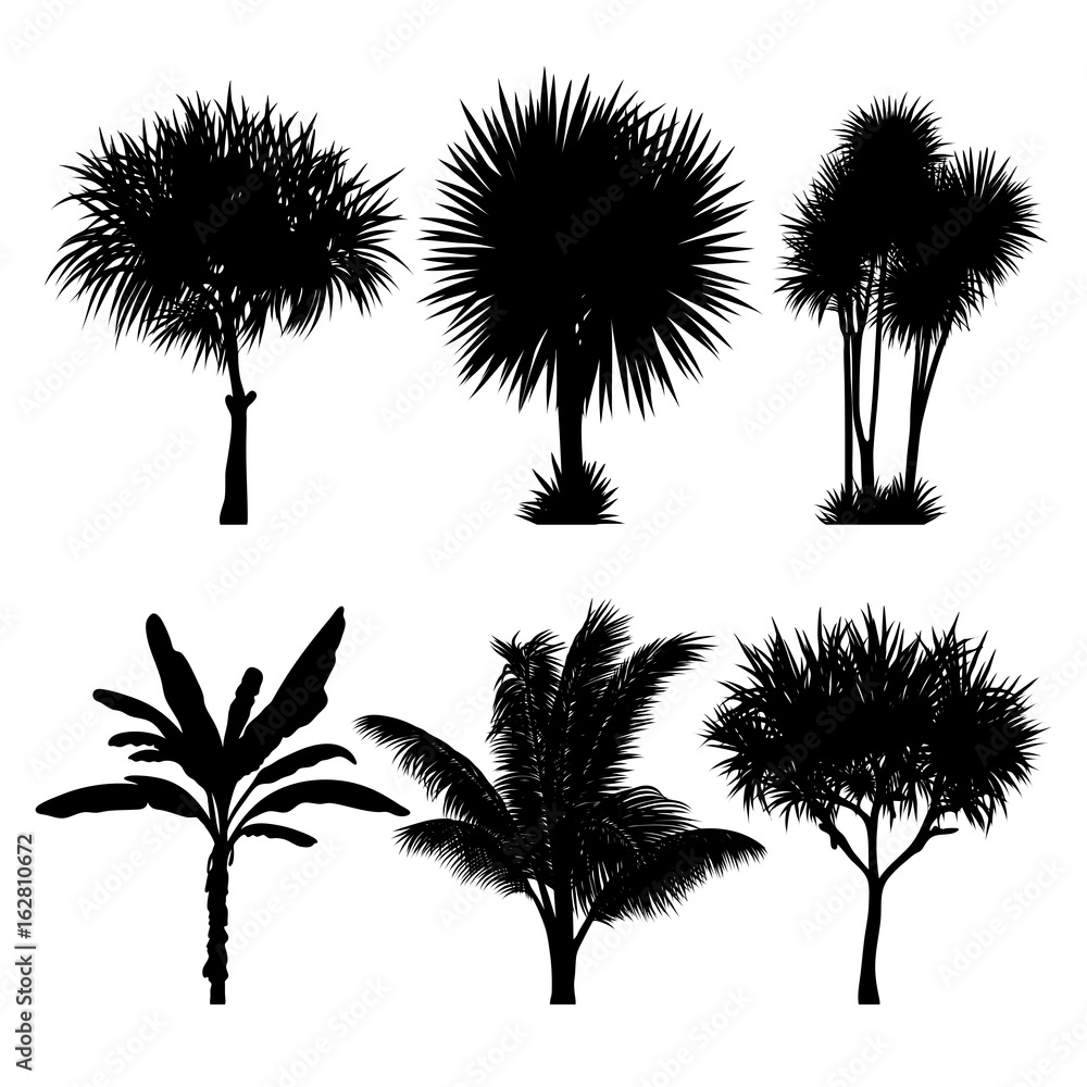 vector set of tropical palm and tree silhouettes