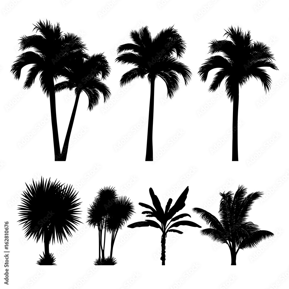 vector set of tropical palm and tree silhouettes vector set of tropical palm and tree silhouettes