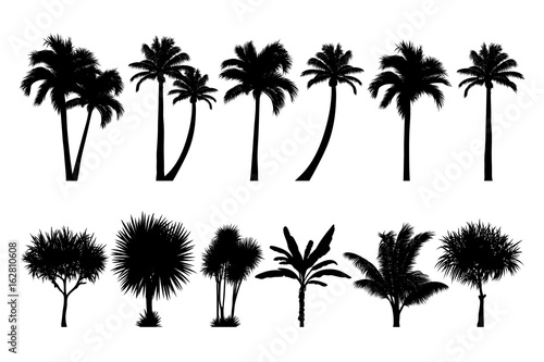 vector set of tropical palm and tree silhouettes © merydolla